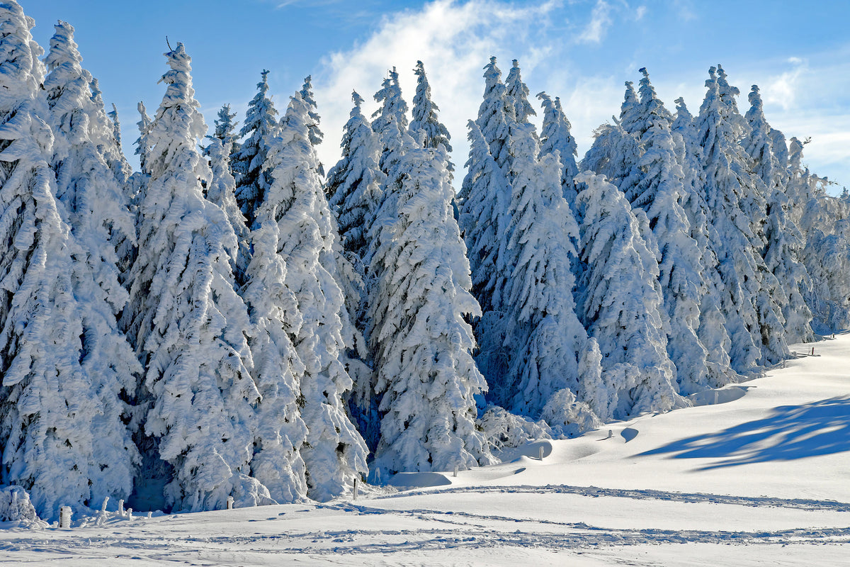 3-piece-canvas-print-beautiful-winter-landscape