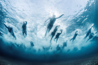poster-print-swim