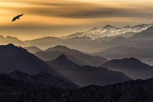canvas-print-layers-xpu
