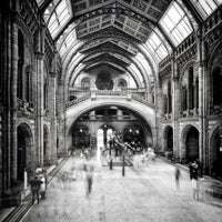 aluminium-print-natural-history-museum-of-london-x