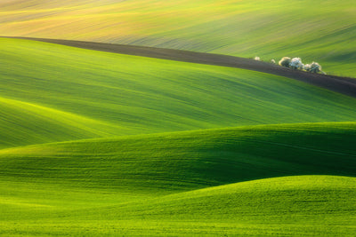poster-print-spring-time-x