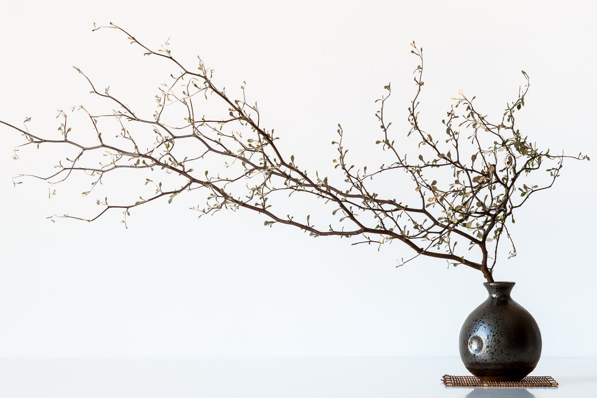 poster-print-vase-and-branch-x