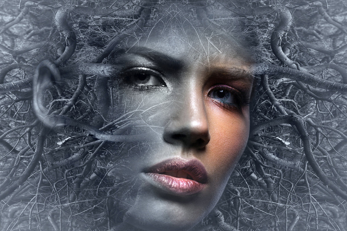 canvas-print-fantasy-face