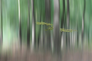 modern-3-piece-acrylic-print-summermorning