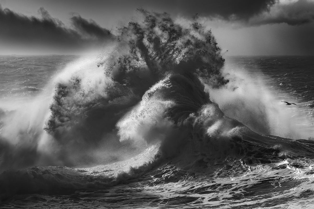 aluminium-print-poseidon-majesty-part-4-x