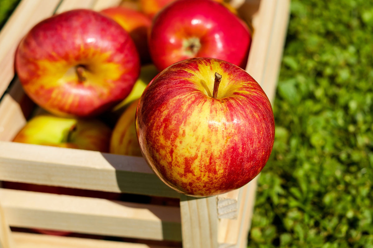 3-piece-canvas-print-box-of-apples