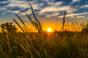 3-piece-acrylic-print-the-sunset-on-the-field