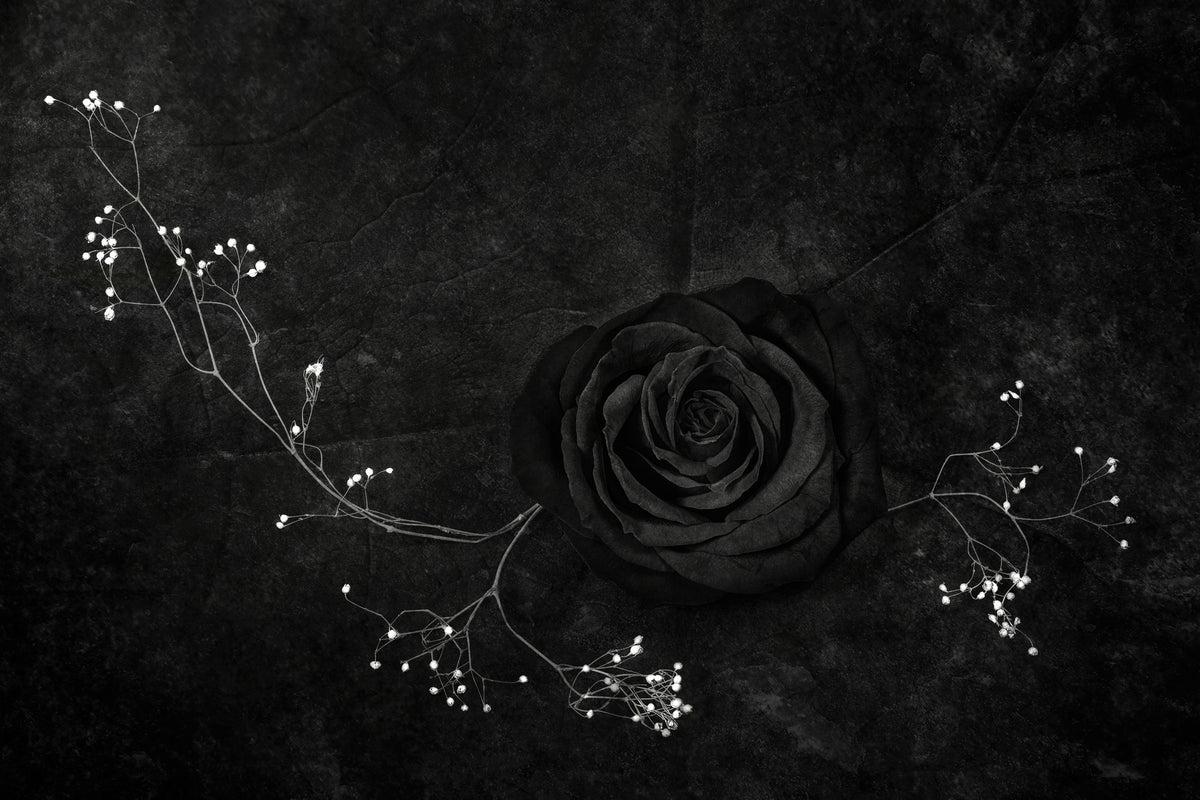 poster-print-rose-noire