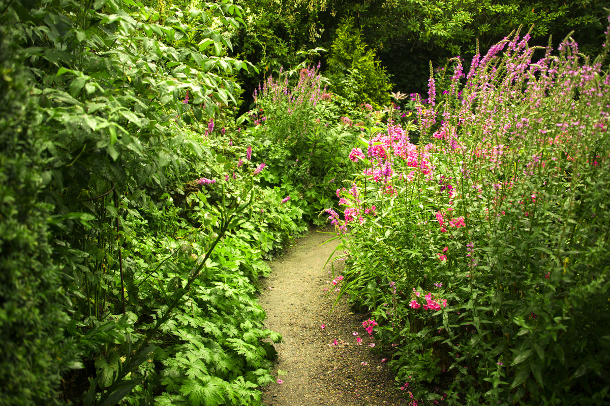 framedcanvas-print-garden-path