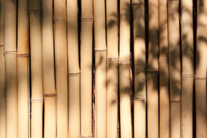 3-piece-canvas-print-natural-bamboo