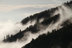modern-3-piece-canvas-print-fog-in-the-woods