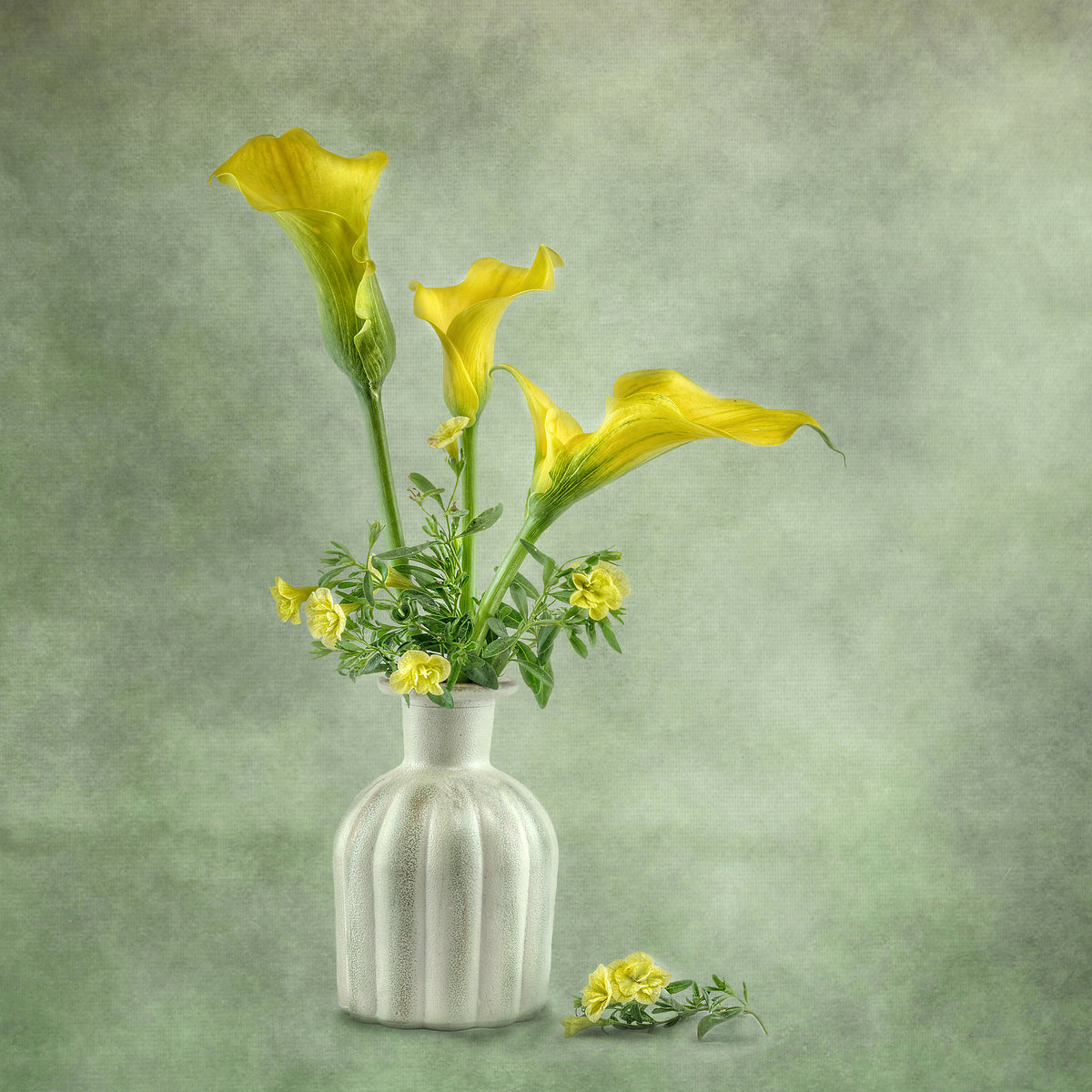 9-piece-aluminium-print-calia-lillies