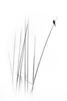 canvas-print-a-sabbatical-x
