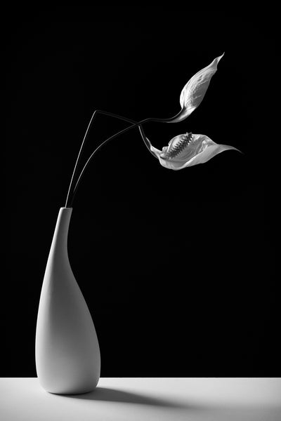 poster-print-passionately-x