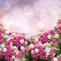aluminium-print-fable-roses