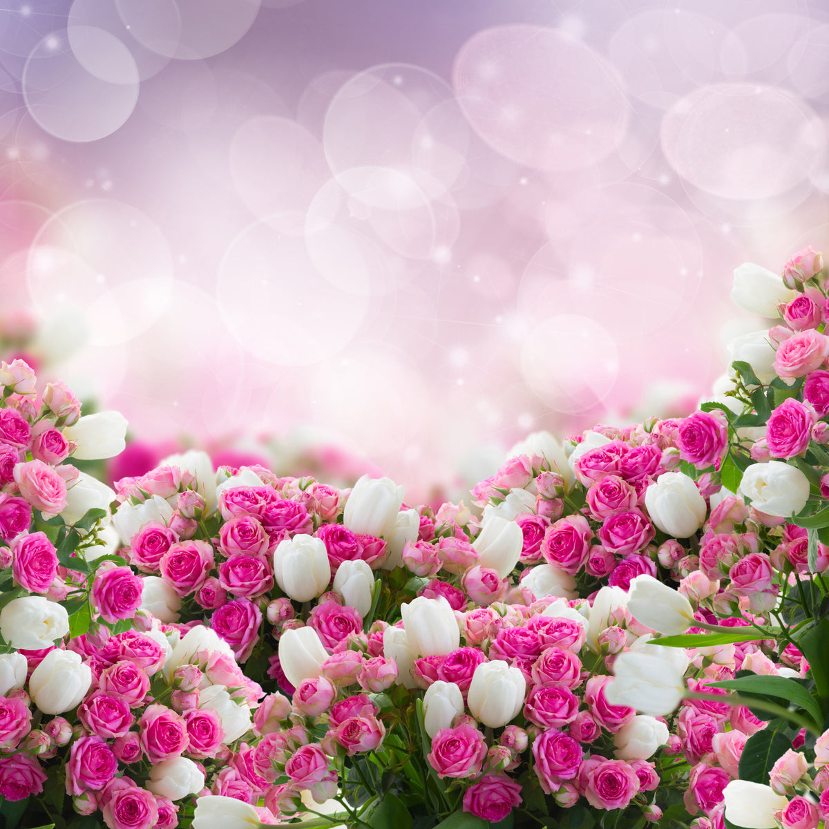 aluminium-print-fable-roses