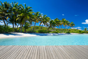 canvas-print-beach-palms