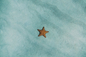 3-piece-canvas-print-the-little-starfish