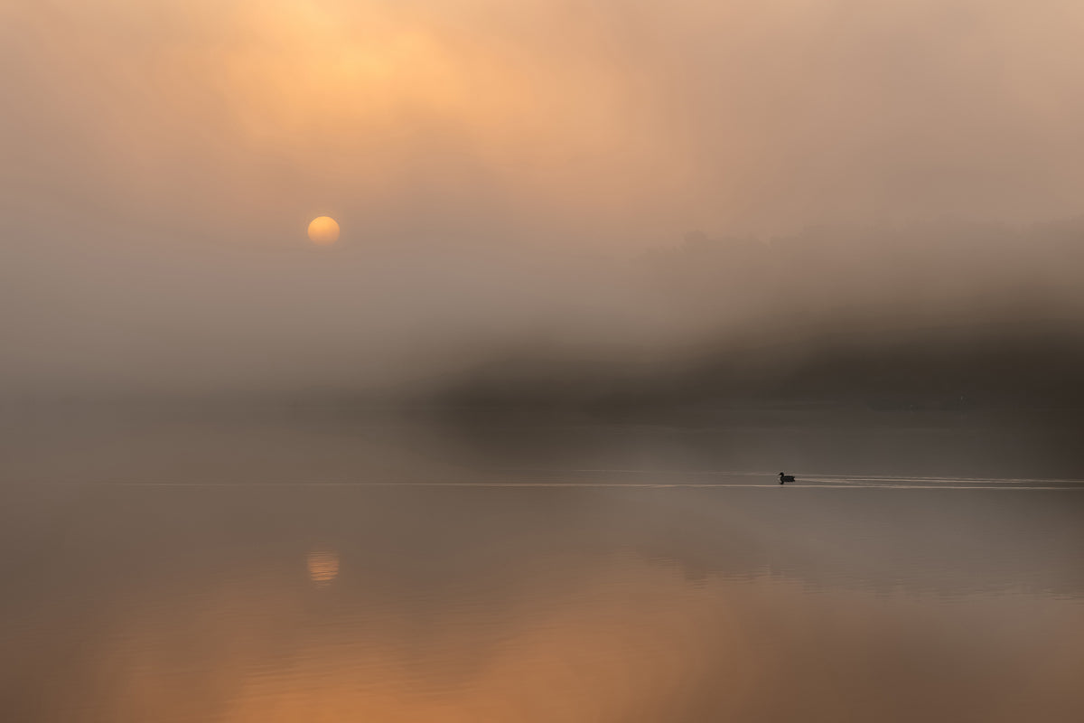 aluminium-print-autumn-fog-over-the-water
