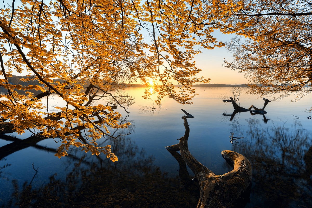 framedposter-print-autumn-morning-xoq
