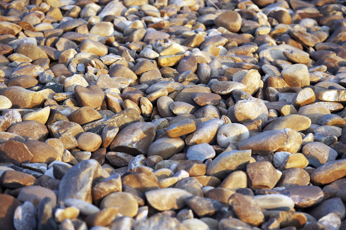 framedcanvas-print-beach-stones-ii