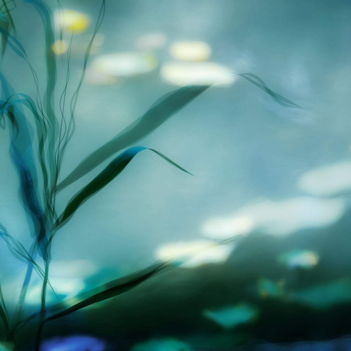 acrylic-print-ripples-in-suzhou