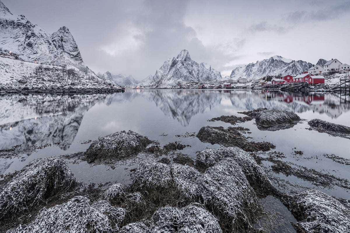 acrylic-print-reine-x
