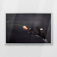 PS-060W040