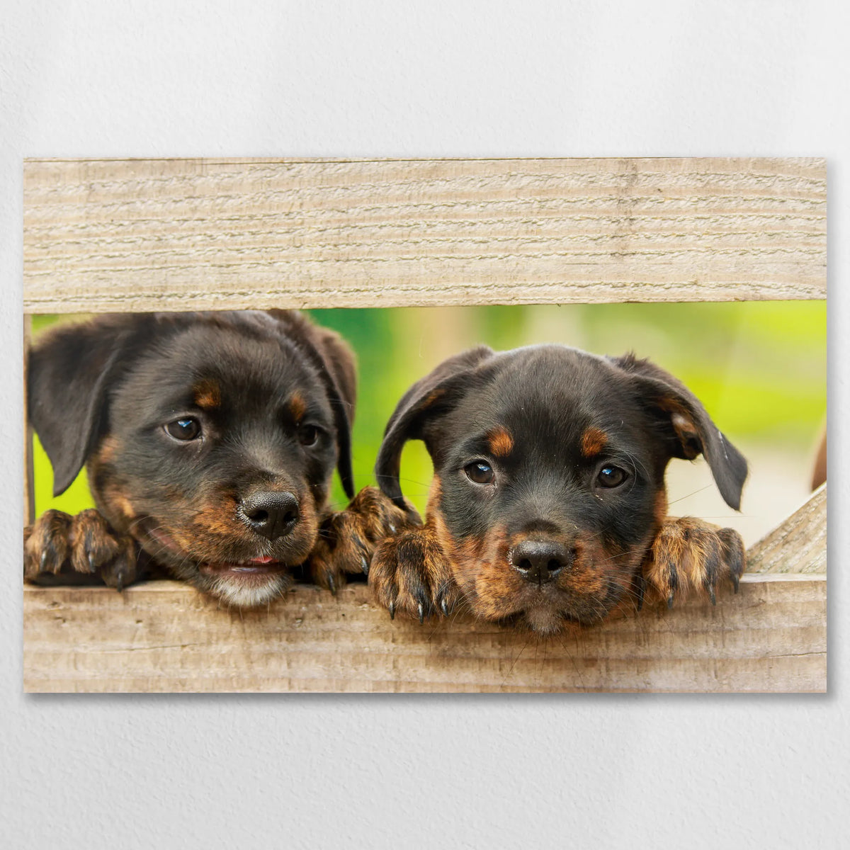 AL-075W050