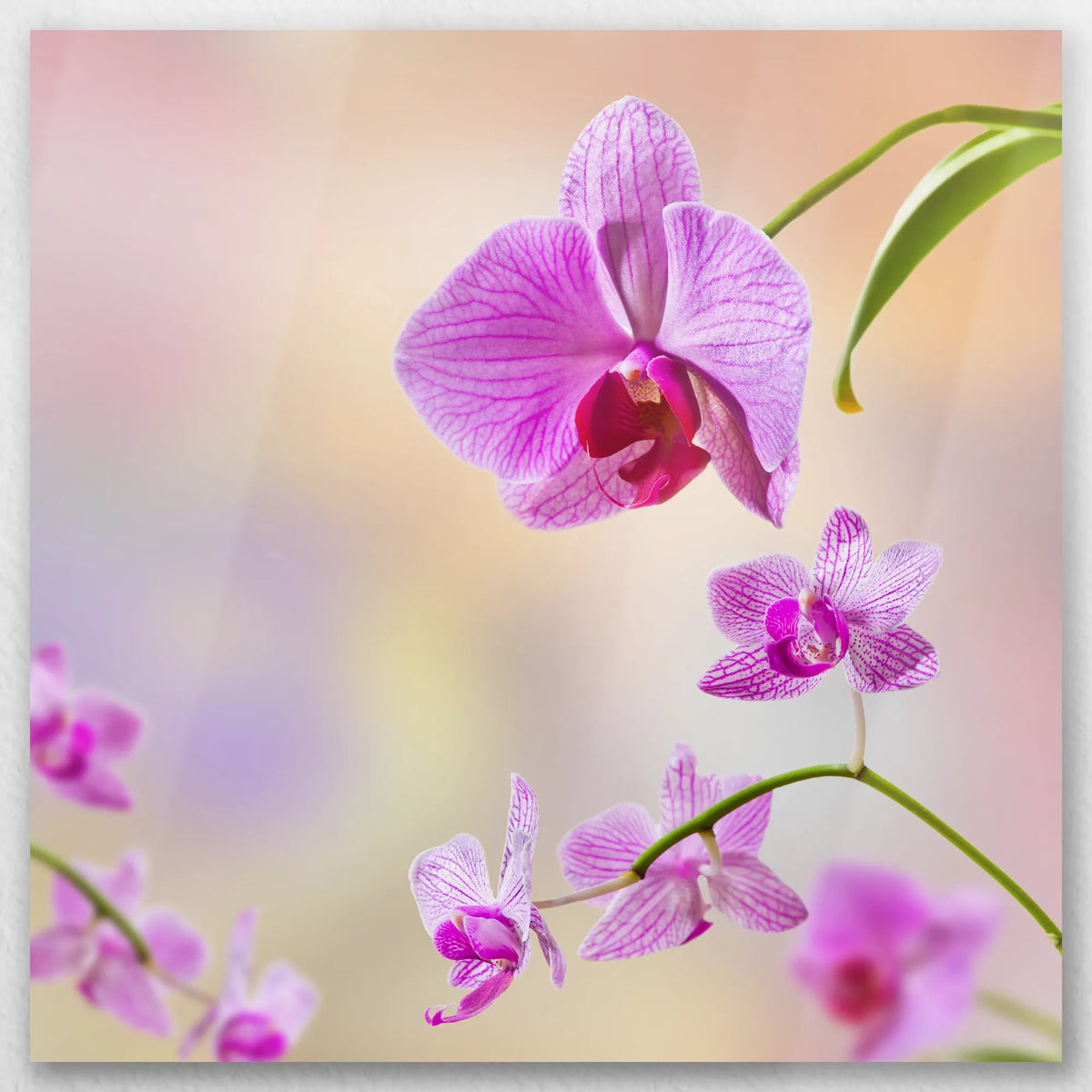 AL-050W050