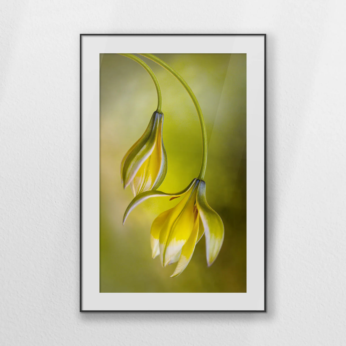 PBP080W120