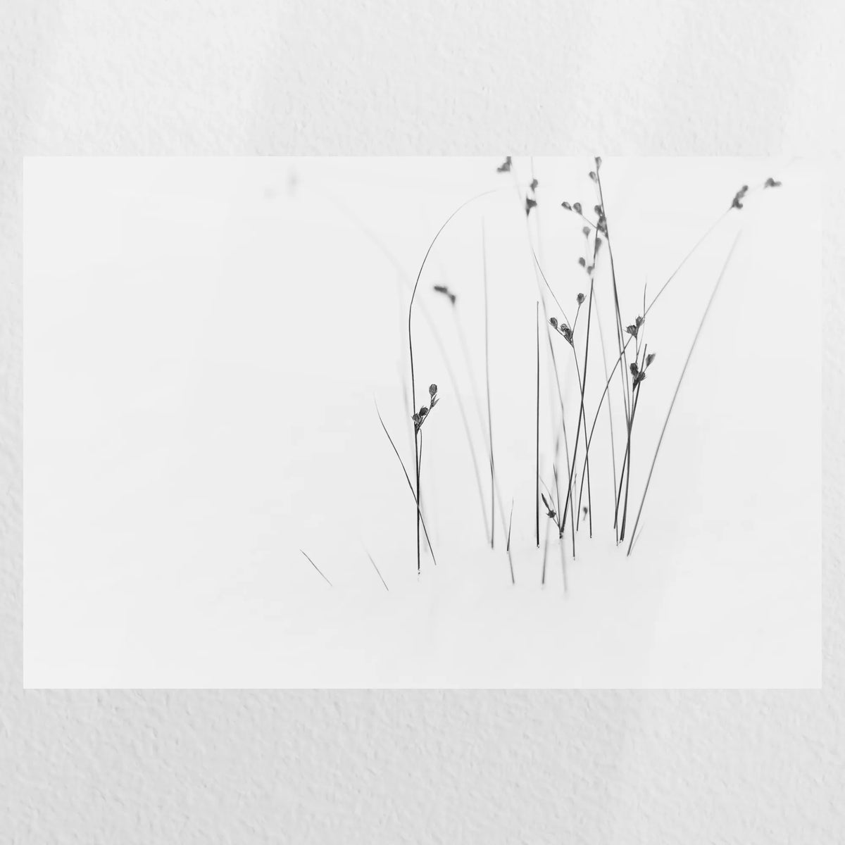 PO-030W020