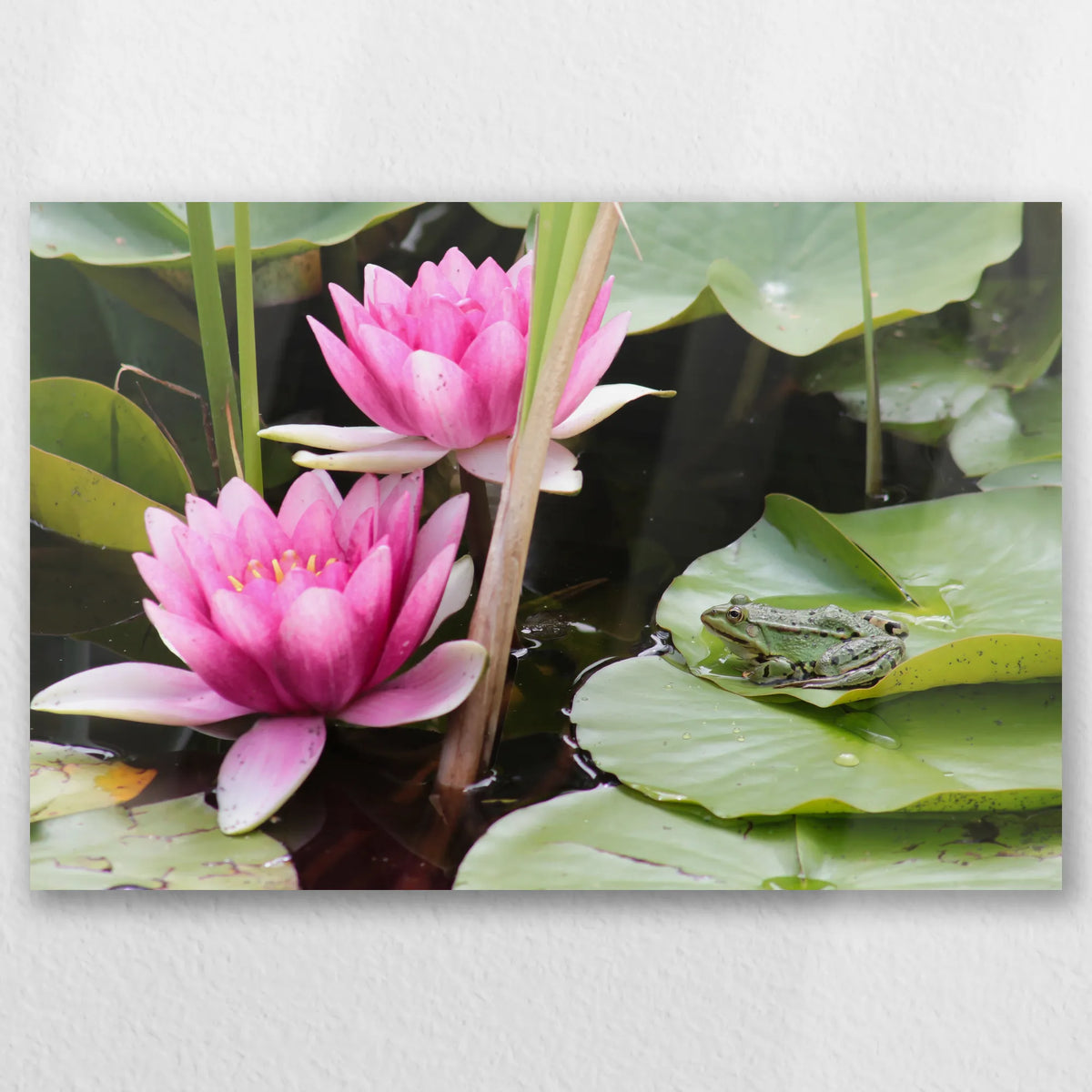 AL-060W040