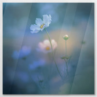 AC-090W090