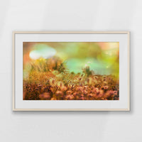 PNP093W062