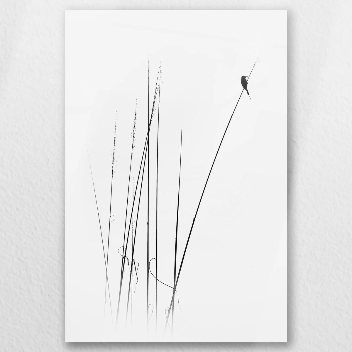 AC-040W060