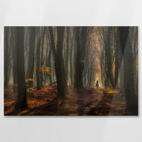 AL-075W050