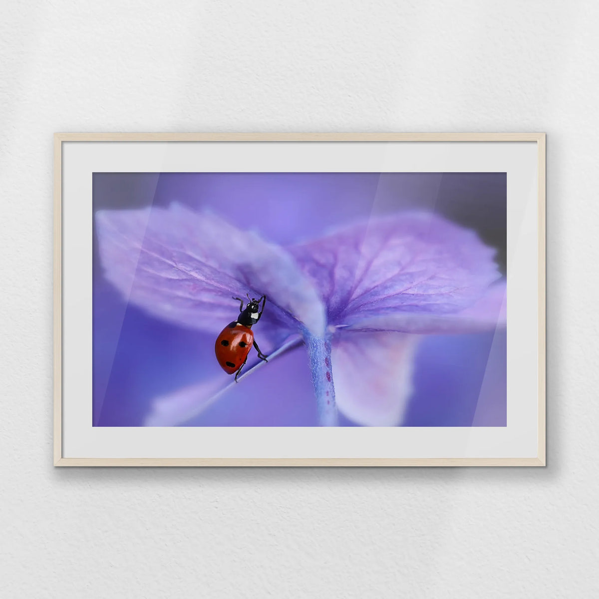 PNP100W070