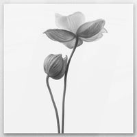 AL-060W060