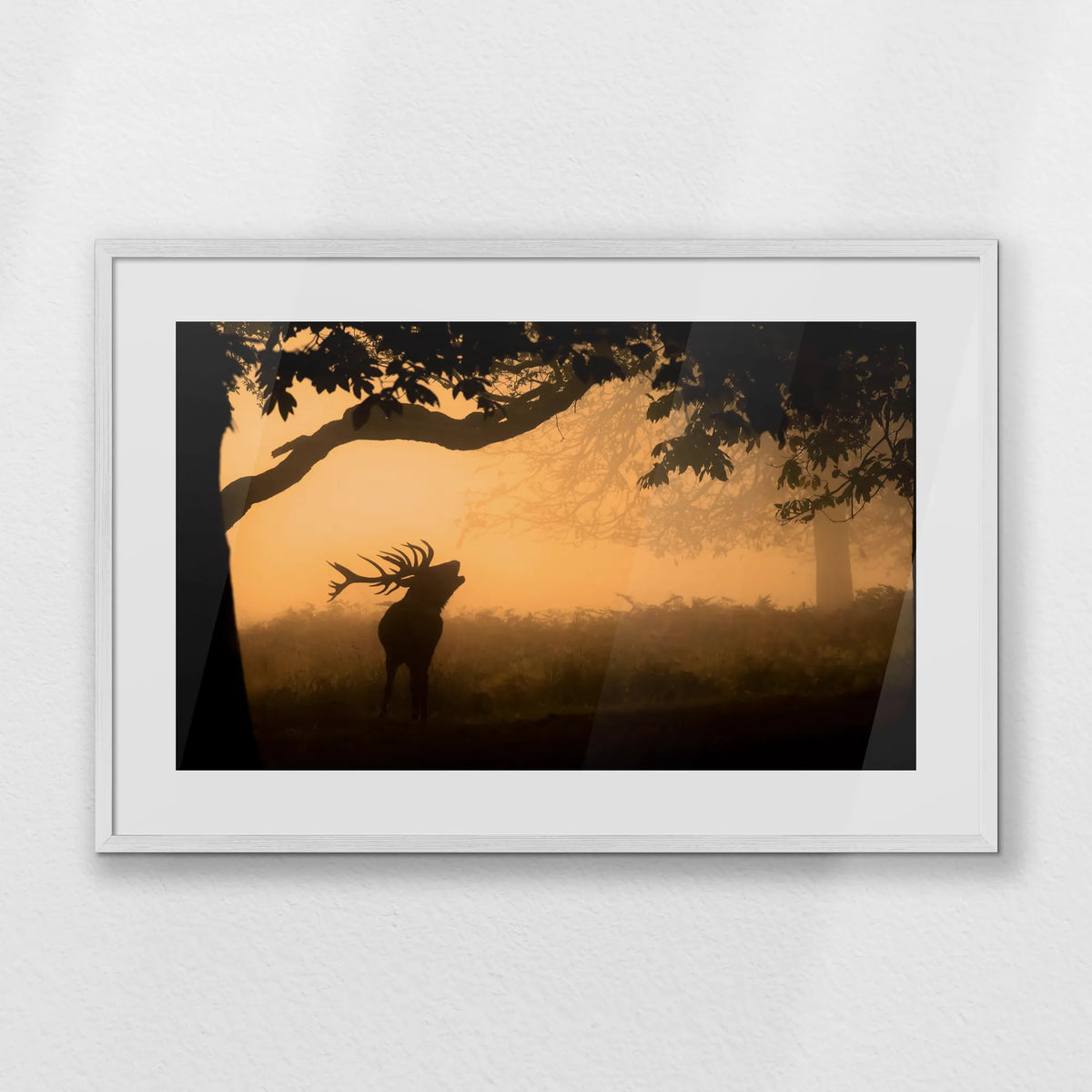 PWP093W062