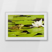 PSP120W080