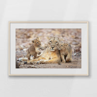 PNP093W062