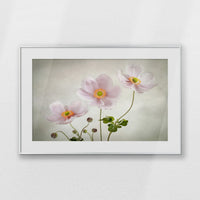 PSP093W062