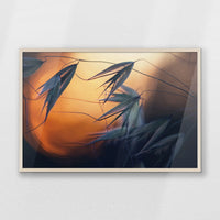 PN-093W062