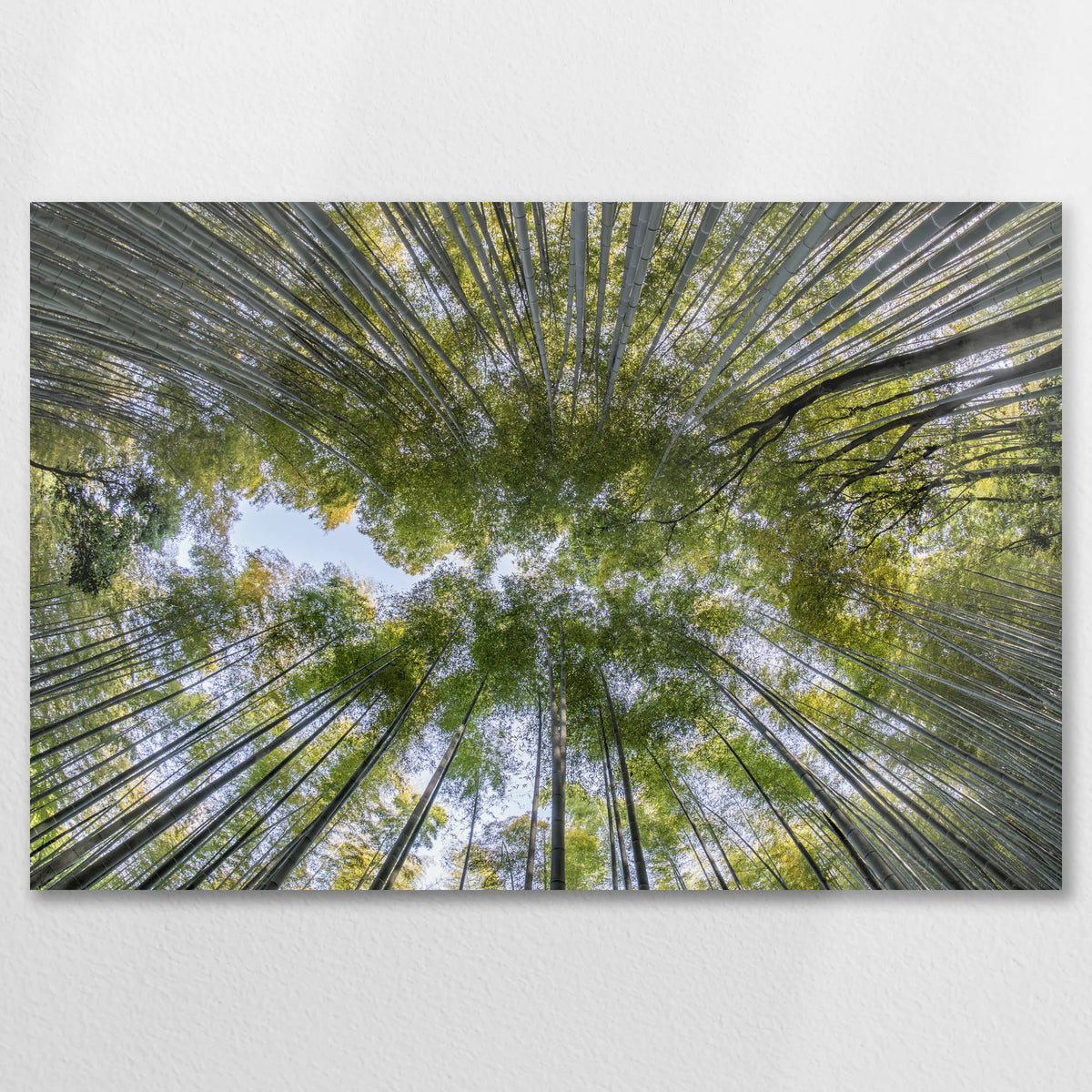 AL-075W050