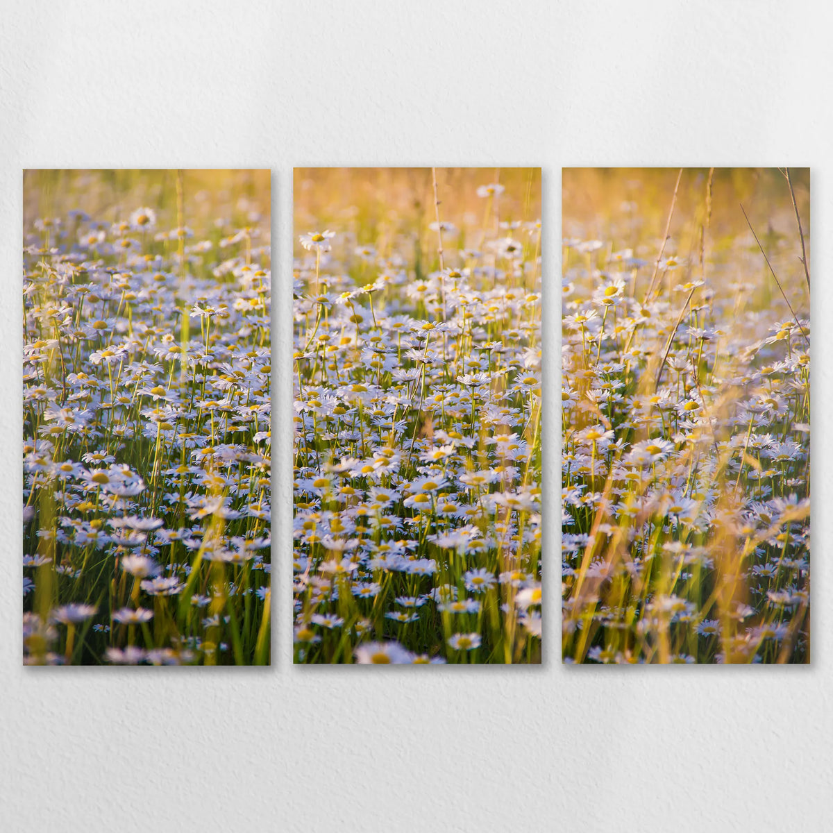 AL-150R100