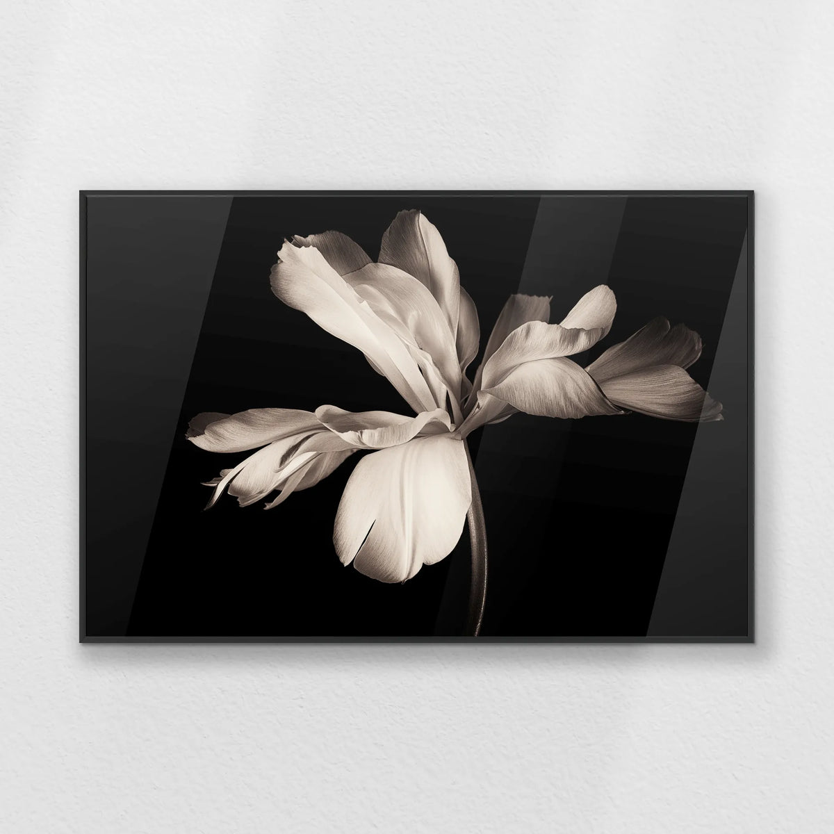 PB-093W062