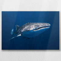LW-060W040