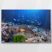 LW-030W020