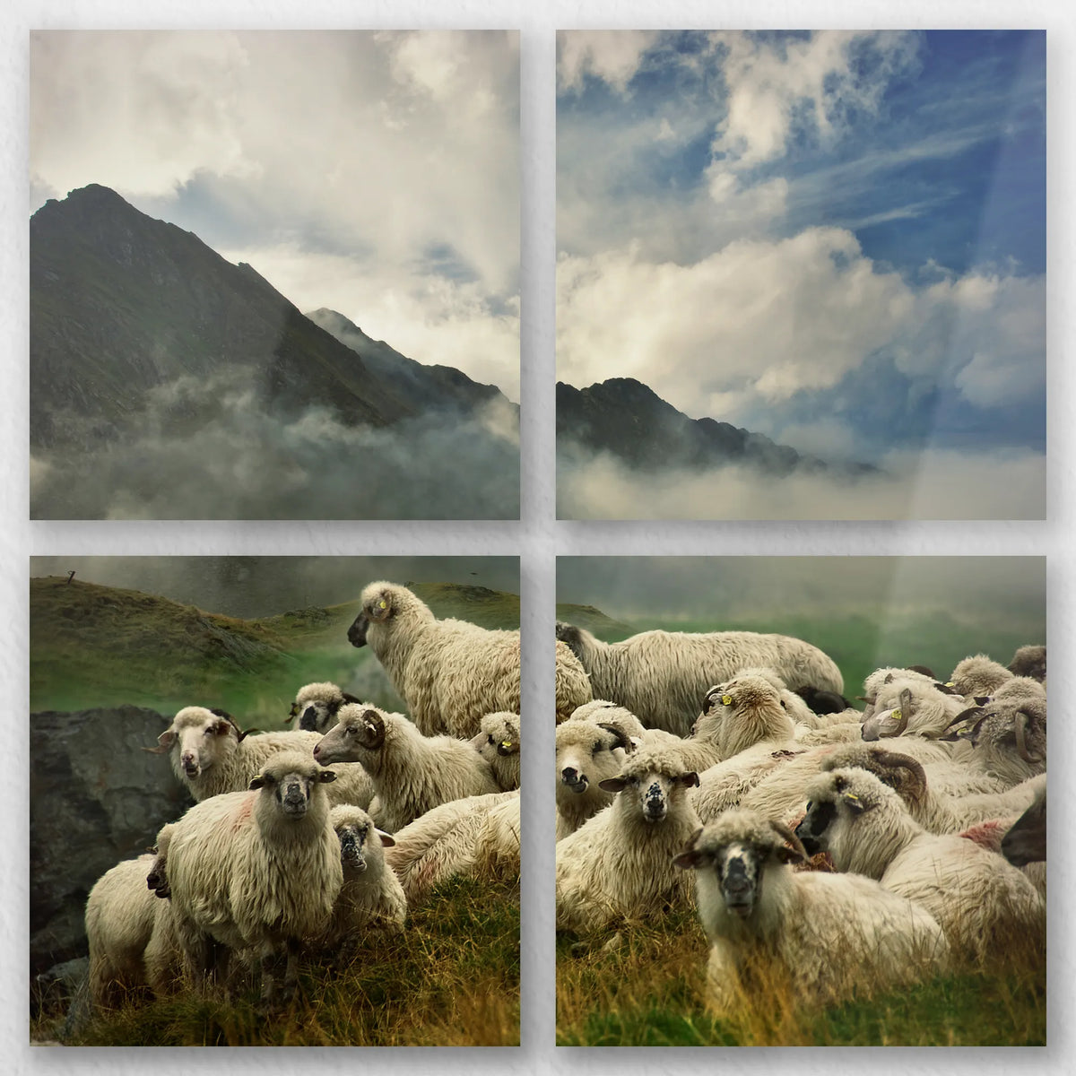 AL-060V060